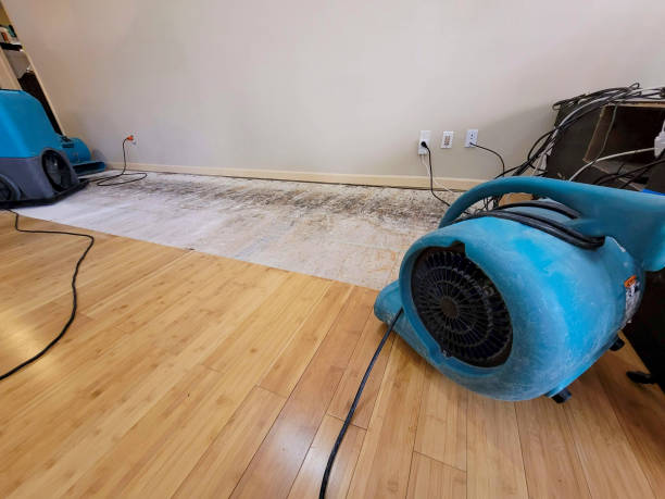 Professional Water Damage Repair technician working in Silverado, CA